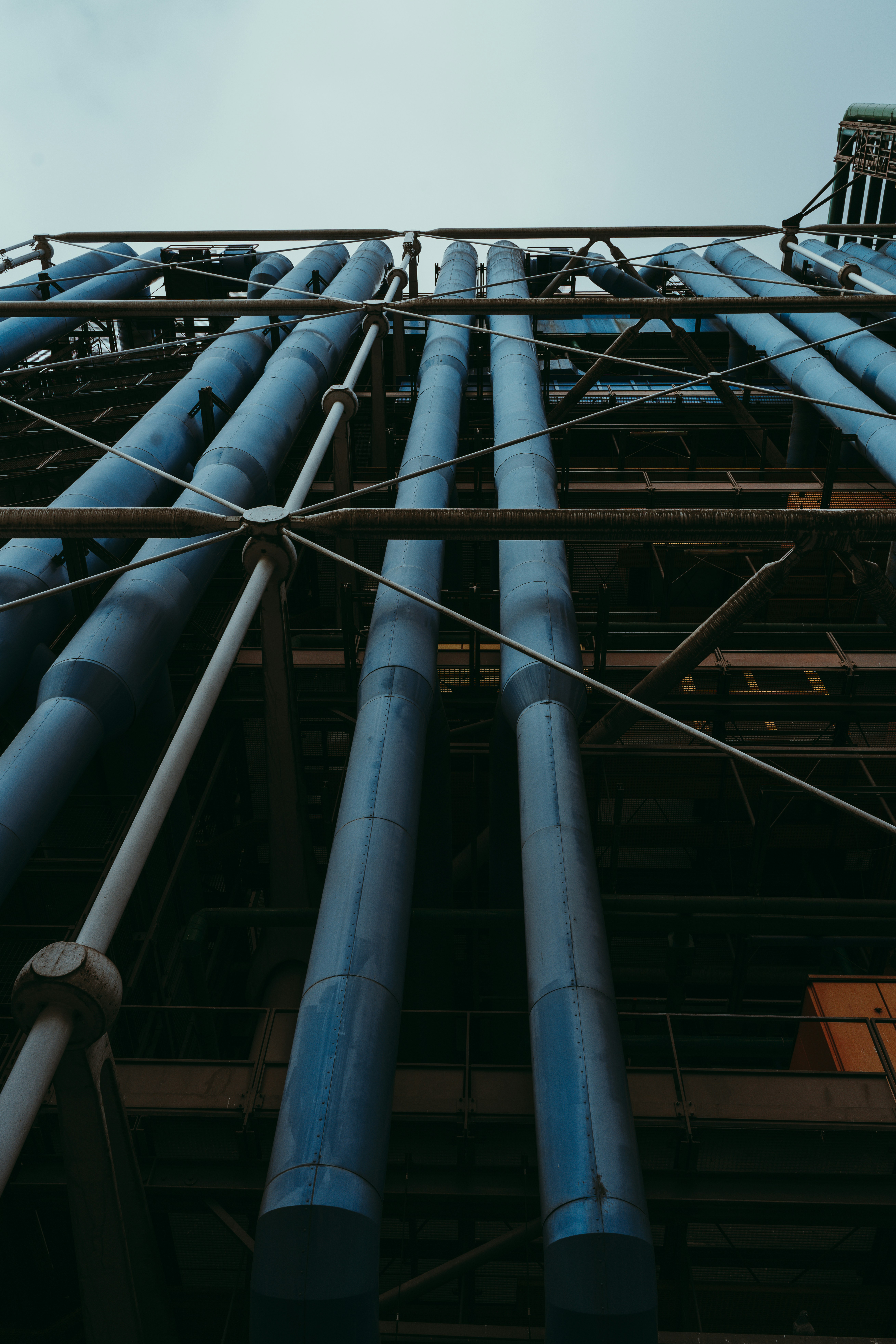 Steel Pipes & Flanges
